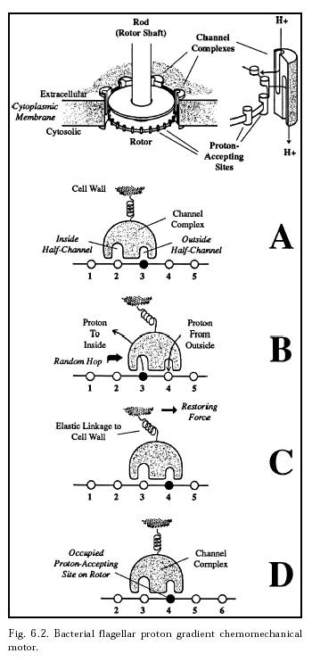 Ray Kurzweil The Singularity Is Near Pdf 23